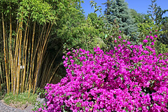 Funchal - Der "Jardim Tropical Monte Palace" (15)