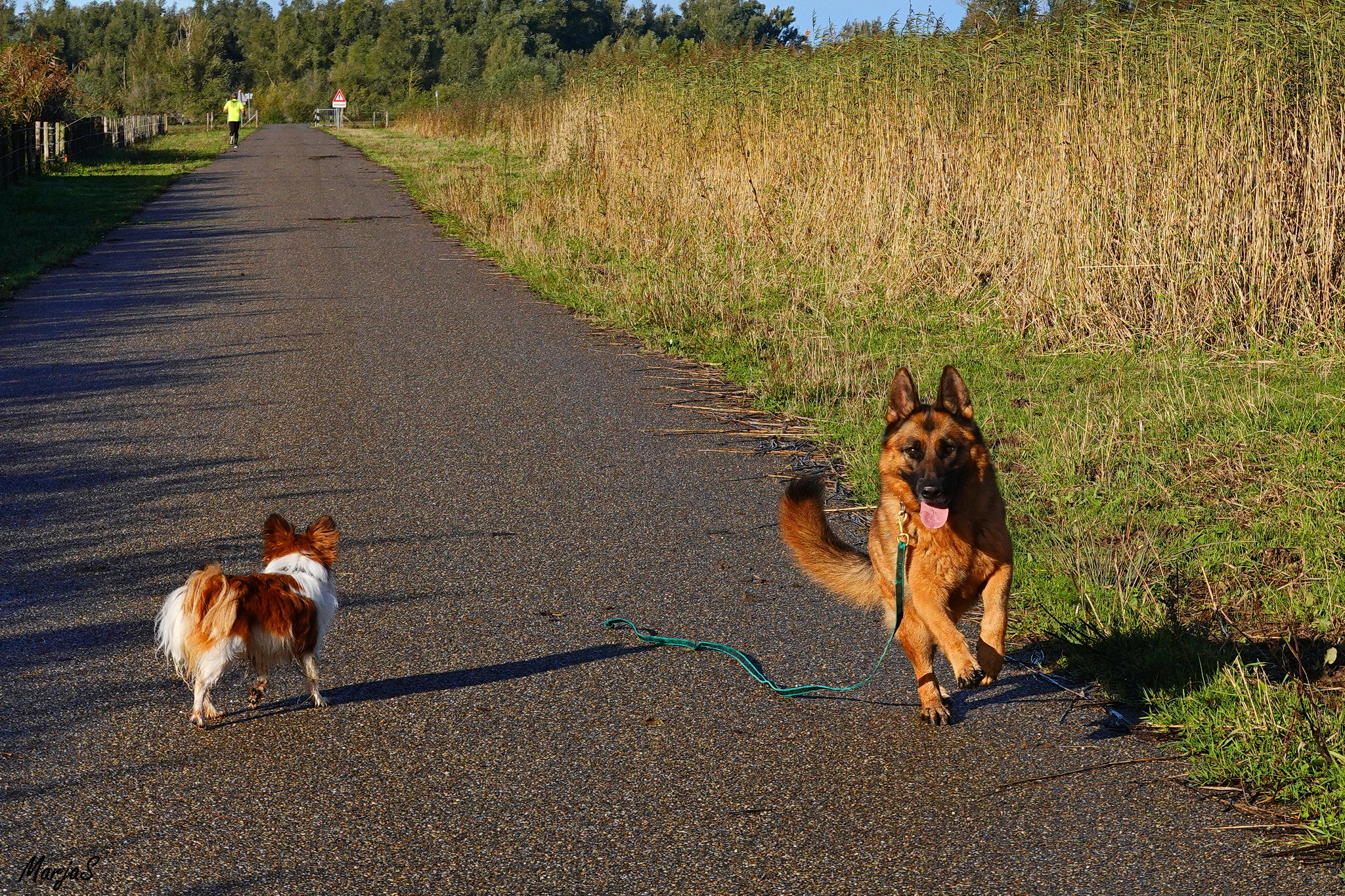 Zondagmorgenwandeling