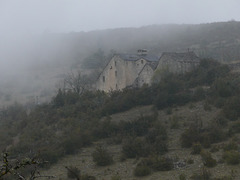 20211111 -21  Lozère (22)