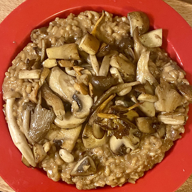 Risotto con funghi