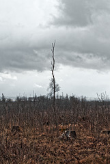 20250330_Wanderung Elbingerode