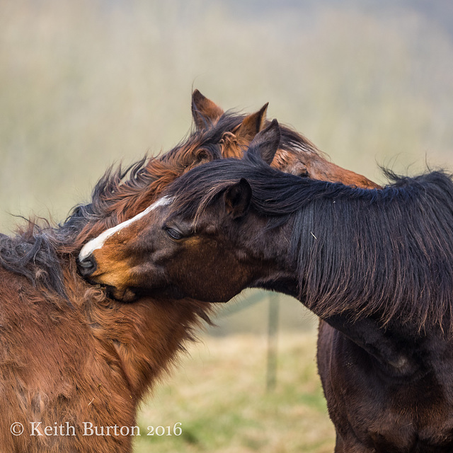 "You scratch my back.............................