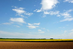 Paysage champêtre