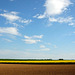 Paysage champêtre