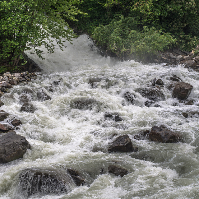 Die Wasserwogen sind groß ...