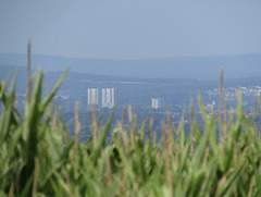 in die Ferne geblickt