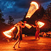 Fire Dance (3)