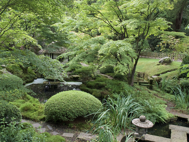 Japanese Garden Tatton Park