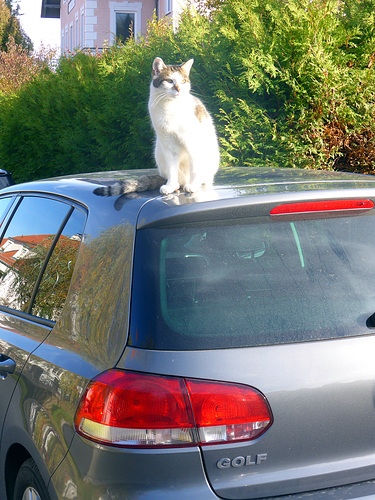 ein Platz an der Sonne
