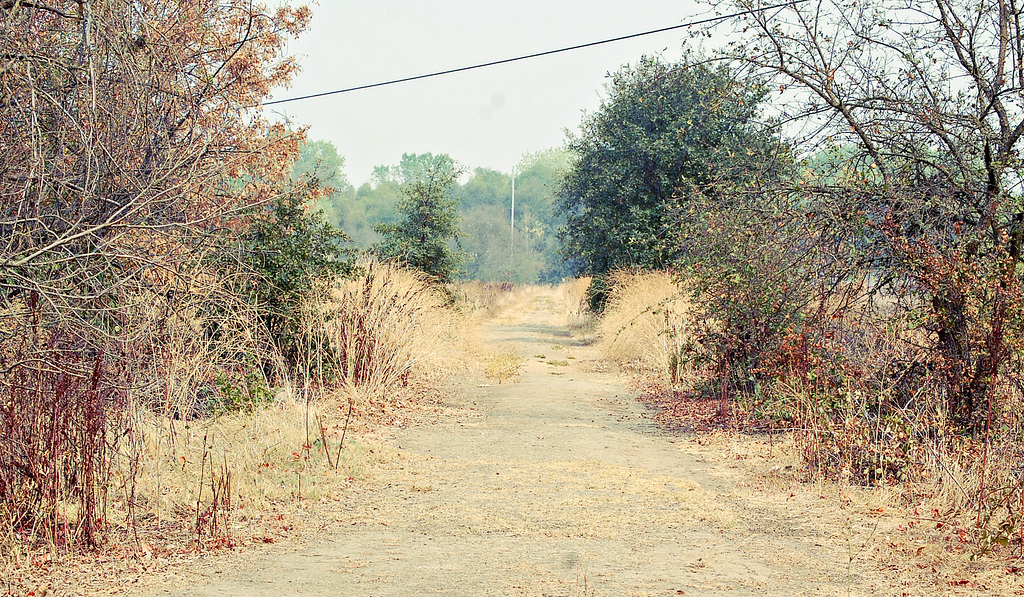 Cosumnes River Preserve