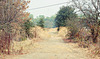 Cosumnes River Preserve