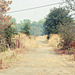 Cosumnes River Preserve