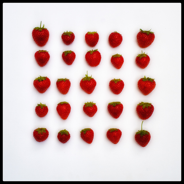 Strawberry Fields forever -SSC-