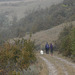 20211111 -21  Lozère (24)