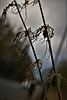 On The Way To Winter