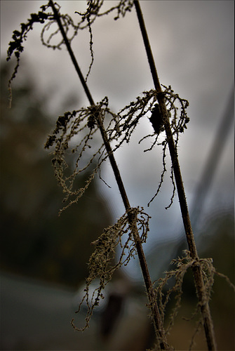 On The Way To Winter