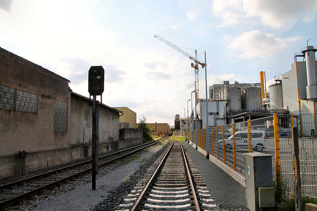 Gleise der Hafenbahn (Hamm) / 18.09.2021