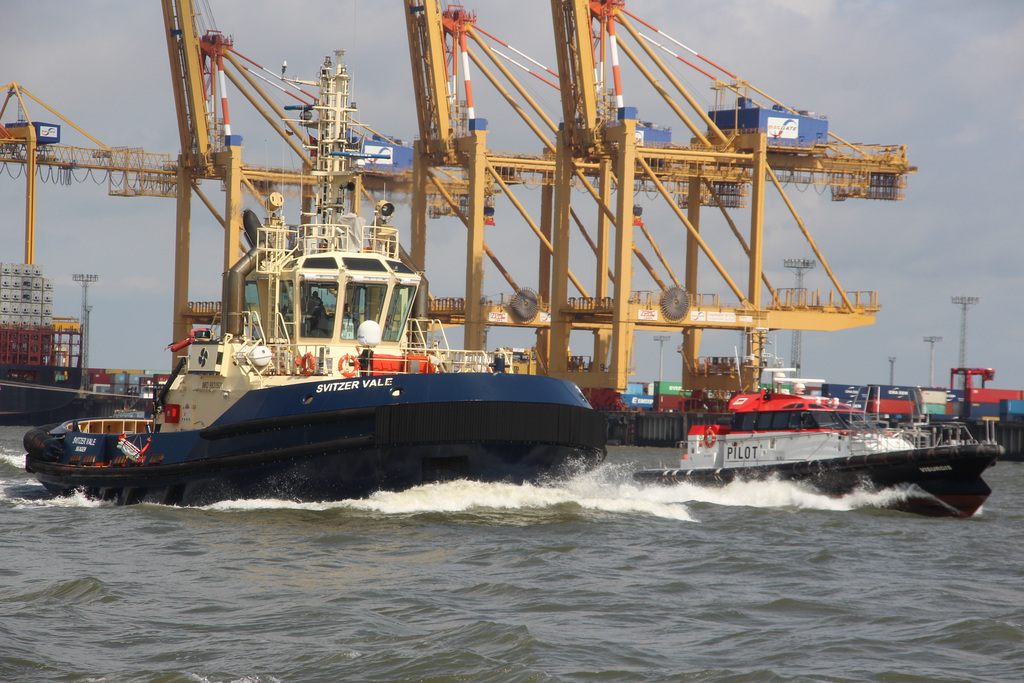 SVITZER VALE