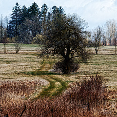 20250330_Wanderung Elbingerode 20250330_Wanderung Elbingerode