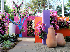 Orchid Show