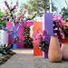 Orchid Show