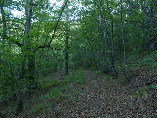 20180910 -15 Randos solo Prévenchères (Lozère-Villefort) (608) al