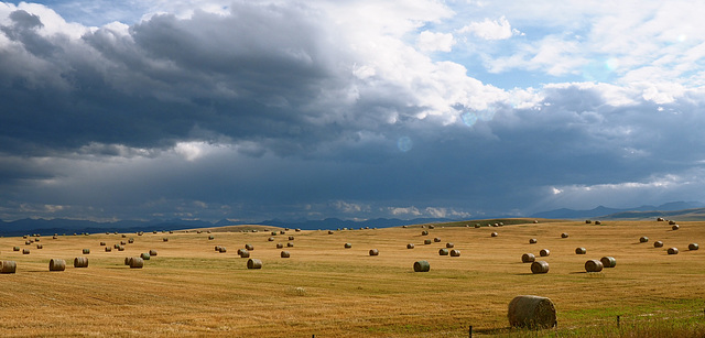 Alberta, Canada