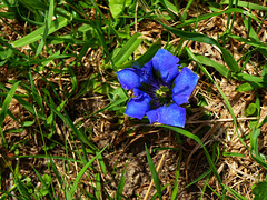 Bergwelt