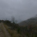 20211111 -21  Lozère (26)