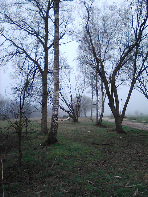 Drenthe in de mist