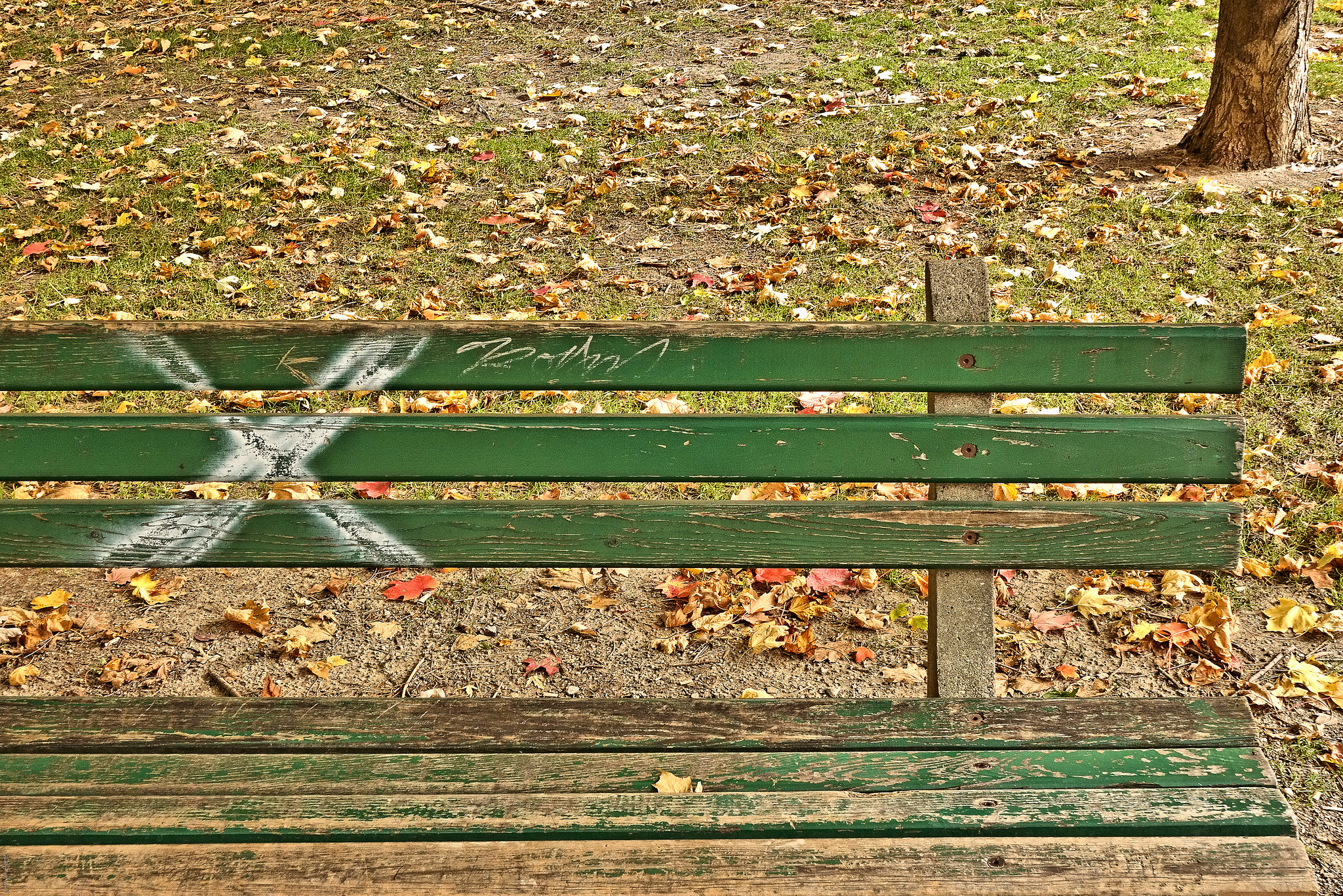 Happy Bench Monday!