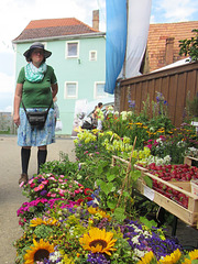 frische Blumen