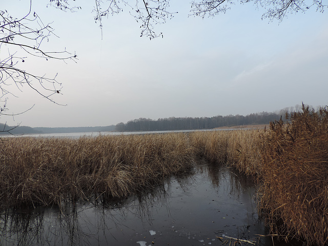 Am Heegesee