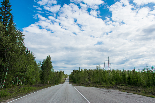 400 km nur Wald und Strasse ... unterwegs in der Region von Suomussalmi (© Buelipix)