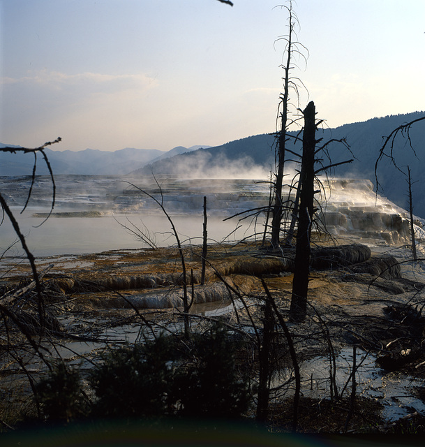 Mammoth Hot Springs