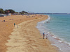 Beach Life