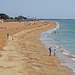 Beach Life