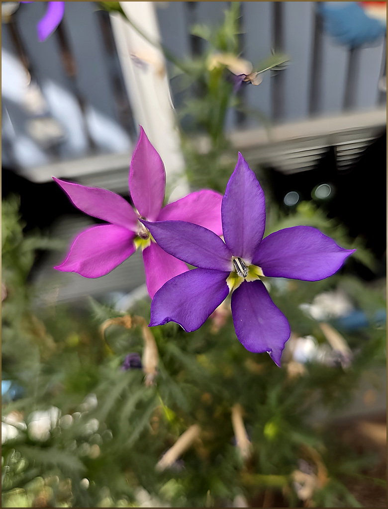 Blumige Windmühlen