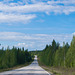 400 km nur Wald und Strasse ... unterwegs in der Region von Suomussalmi (© Buelipix)