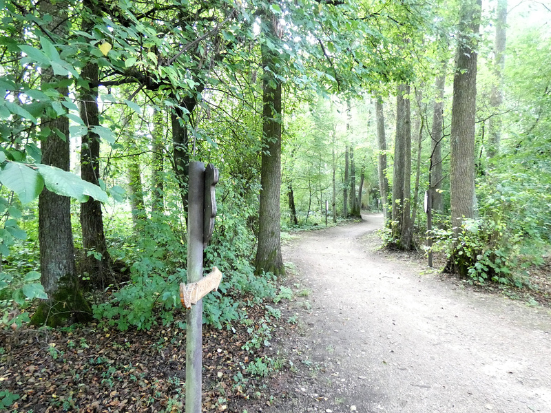 Waldweg