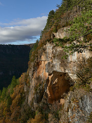 20211111 -21  Lozère (31)