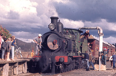 24 Humula