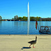 Alster-Gans Alster-Gans