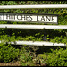 Hitches Lane