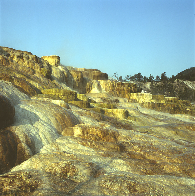 Mammoth Hot Springs