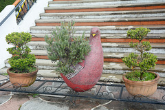 Mexico, San Cristobal de las Casas, Various Street Flower Pots