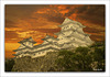 Castillo Himeji-2