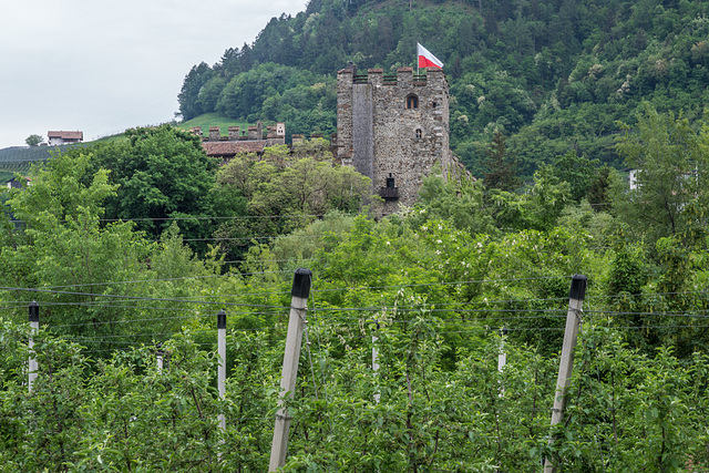 Schloss Forst