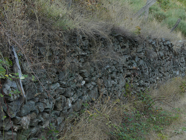 20180910 -15 Randos solo Prévenchères (Lozère-Villefort) (612) al