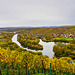 Bunter Herbst in einem Naturschutzgebiet - Colourful autumn in a nature reserve